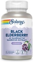 Solaray - Sambuactin Elderberry Extract, 60 Lozenges