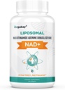 Orgabay Liposomal NAD + Supplement 500 mg, Høj Absorption, Boost NAD + med TMG 250 mg, Faktisk NAD Plus mere effektiv end Nicotinamid Riboside, Support Cellular Energy, Sund Aging