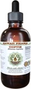 Coptis Alkohol- Free Liquid Extract, Coptis (Rhizoma Coptidis) Tørret Root Glycerit Hawaii Pharm Natural Herbal Supplement 2 oz