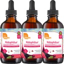 Zahler - Kidophilus Liquid Drops Probiotics for Kids (4 Fl Oz) Certified Kosher, for Healthy Digestion & Immune Support - Fruit Punch Flavored Children's Probiotic Drops Supplement (3 Pack)