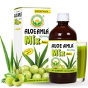Basic Ayurveda Gooseberry + Aloe Vera Juice - 16,23 Fl Oz (480ml) Note 124; 50- 50 Herbal Mix for Immunitet, fordøjelse & Skin Health