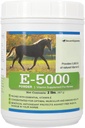 E5000 Pulver • 124; E-vitamin til heste • 124; Antioxidant • Støtte med Horse • E-vitamin • Supplement • 124; Koncentreret for Optimal Muskel & Wellness Support • 124; 2 LB