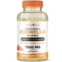 Boswellia Serrata Extract Joint Support fra Powered by Plants - 65% høj potens Boswellinsyre med BioPerine - understøtter immunitet, mobilitet og fleksibilitet - 120 Veganske kapsler