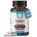 Boswellia Serrata 600 mg 65 Boswellic Acid Extract understøtter fælles komfort, fleksibilitet & mobilitet Natural Herbal Wellness Supplement Vegan, Non- GMO, Gluten- Free 90 Veg kapsler.
