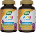 Nature 's Way Kids Cool & Call Gummies, Understøtter en rolig mad i Kids Age 8 + *, Lemon Balm, Magnesium, Vitamin B6, L- Theanine, Grape Flavored, Vegetar, (Packaging May Vary), 40 Greve (Pack of 2)
