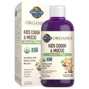 Have of Life Organics Elderberry & Zink til børns immunforsvar, Kids Cough & Mucus immunsyrup med Ivy Leaf, C-vitamin og Echinacea til børn, Alkohol- fri, Ingen Tilføjet sukkerarter, 3.92 fl oz