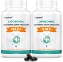Orgabay Liposomal NAD + Supplement 500 mg, Høj Absorption, Boost NAD + med TMG 250 mg, Faktisk NAD Plus mere effektiv end Nicotinamid Riboside, Support Cellular Energy, Sund Aging