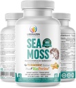 Organic Irish Sea Moss Pills - Bygget Dr. Sebi Inspireret Seamoss Blend med gurkemeje, Burdock Root & Bladderwrack, forstærket med sort peber - 60 kapsler