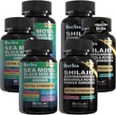 Boysea. Shilajit og Sea Moss Bundle- 90 Greve - Sea Moss, Black Seed Oil, Ashwagandha, Ginger & Shilajit, Rhodiola Rosea, Alle i 1 tillæg (3 Pc)