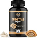 Økologisk Tyrkiet Tail Mushroom Kapsler Fruiting Body Extract 124; GMO & Allergen- Free, Coriolus Versicolor Daglig urter, 90 Kapsler
