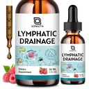 Lymphatic Drainage Drops - 11 in 1 Lymphatic Supplement with Echinacea, Horse Chestnut, Dandelion, Elderberry & Burdock, Support Lymph, Liver Detox & Repair - Raspberry Flavor, Sugar Free, 2 Fl Oz