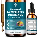 Liposomal Lymphatic Drainage Drops - 11 in 1 Lymphatic Drainage Supplement for Immune, Lymph System & Liver Detox - with Echinacea, Horse Chestnut, Dandelion, Elderberry & Burdock - 2 FL Oz