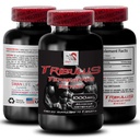Activity Power - TRIBULUS TERRESTRIS EXTRACT - Energy, Active Body Support, Plant-Based Energy Boost, Active Energy Support, Body Power, Energy Recharge, Strength Support 1 Bottle 90 Tablets