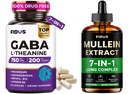 Fidus 1050mg GABA L-Theanine Ashwagandha & Mullein Drops for Lungs