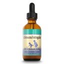 HERBS FOR KIDS Echinacea Astragalus - Organic Echinacea Drops - Wellness Herbs - with Organic Astragalus, Lemon Balm, Peppermint - Ages 1 and Up - Made Without Alcohol - Great Taste - 20 Servings, 2oz
