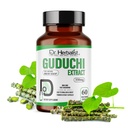 Dr. HERBALIST Guduchi Extract Capsules 350mg - Tinospora cordifolia with tinosporin and giloin Supports Immune System Function & Healthy Stress Response* Halal 60ct