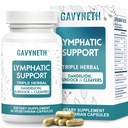 Lymphatic Drainage Supplements for Lymph System Support – Echinacea, Dandelion & Burdock for Immune & Circulation Support, Vegan Herbal Formula for Women & Men, 60 Capsules