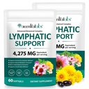 Lymphatic Drainage Supplements - 2 PACK 4275mg Herbal Lymph System Support with Dandelion, Burdock, Echinacea, Turmeric & Bromelain, Promotes Fluid Balance & Immune Health for Women & Men,240 Softgels