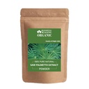 Blessfull Healing Organic Saw Palmetto Extract Powder 100% Pure Natural 100 Gram / 3.52 oz