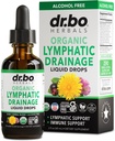 Lymphatic Drainage Supplements Drops - Organic Lymphatic Support Liquid Drops Cleanse with Echinacea, Lymph System Support Supplement, Lymph Node Detox Cleanse System Drainage - 2oz Non-GMO Organics