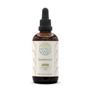 HerbEra Goldenrod B120 Alcohol-Free Herbal Extract Tincture, Super-Concentrated Goldenrod (Solidago spp.) Dried Herb (4 fl oz)