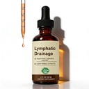 Lymphatic Drainage Drops 2000mg Herbal Blend with Elderberry Echinacea Dandelion Supports Lymphatic System Immune Health 2 fl oz