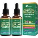 (2 Pack) Liposomal Lymphatic Drainage Supplements with 30-in-1 Herbal Blend - Echinacea | Oregano | Milk Thistle - Sugar Free Lymph System Drops - Immune Support, Cleanse & Detox, Raspberry Flavor