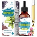 Liposomal Lymphatic Detox & Drainage Drops – 2000mg Herbal Blend with Elderberry & Echinacea – Supports Lymphatic Drainage, Immune System & Detox – 2 FL OZ
