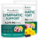 FANSHI 2 PCS Lymphatic Drainage Supplements 240 Softgels | Herbal Blend with Echinacea, Dandelion & Burdock Root | Promotes Healthy Circulation & Fluid Balance | Supports Overall Daily Wellness