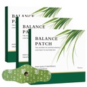 Hanpo Japanese Herbal Patch Stomach Natural Plant extracts, Skin-Friendly & Easy to Apply, Convenient to use (3 pcs)