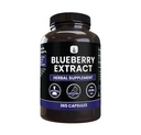 PURE ORIGINAL INGREDIENTS Blueberry Extract (365 Capsule), No Magnesium Or Rice Fillers, Always Pure, Lab Verified