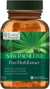 Saw Palmetto Extract Capsules | 60 Veg Capsules | 800Mg | Pack of 1