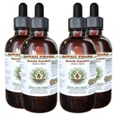Hawaii Pharm Black Walnut Alcohol-Free Liquid Extract, Black Walnut (Juglans Nigra) Dried Hull Glycerite Natural Herbal Supplement 4x4 oz