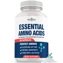 NEW AGE Amino Acid Complex – 20 Aminos with BCAAs, L-Glutamine, L-Arginine & Hyaluronic Acid – Supports Recovery, Energy, Immune Health & Wellness – Non-GMO, Gluten-Free – 60 Capsules