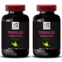 Tribulus Terrestris organic - TRIBULUS TERRESTRIS EXTRACT - Pure Tribulus extract, Tribulus for muscle support, Tribulus Terrestris uses, Tribulus extract benefits, Tribulus Terrestris plant 2B 120C