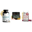 Atlantic Naturals Total Wellness Trio – Organic Irish Sea Moss Capsules 120ct + Sea Moss Super Greens Powder + Sea Moss Gummies with Lion's Mane | Complete Daily Wellness Routine
