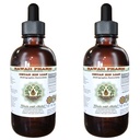 Hawaii Pharm Chuan Xin Lian Alcohol-Free Liquid Extract, Chuan Xin Lian, Andrographis (Andrographis Paniculata) Herb Glycerite Natural Herbal Supplement 2x2 oz