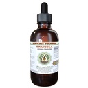 Hawaii Pharm Graviola Alcohol-Free Liquid Extract, Graviola (Annona Muricata) Dried Leaf Glycerite Natural Herbal Supplement 4 oz
