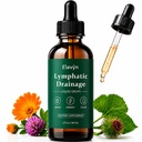 Elavyn Lymphatic Drainage, Flow By Elavyn, Contains Ingredients Such As Astragalus Root, Red Clover, Burdock Root & Calendula, Supports Healthy Fluid Flow & Immunity, 60 Ml