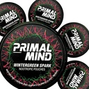 Primal Mind Wintergreen Spark - Stimulant-Free Calm Focus Pouches | L-Theanine + Bacopa Monnieri + Ginkgo Biloba | Nicotine-Free, Caffeine-Free | 20 Pouches Per Can (100 Total in 5-Pack)