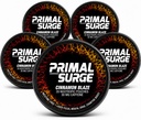 Caffeine Nootropic Pouches - Primal Surge Energy Pouches with 30mg Caffeine, L-Tyrosine, Taurine, Nicotine Free, No Sugar or Artificial Sweeteners - 20 Pouches - 5 Pack (Cinnamon Blaze)