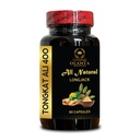 Longjack Tongkat Ali – Herbal Root Capsules for Seeking a Plant-Powered Routine - Natural Energy Booster for Men and Women - 1 Bottle 60 Capsules