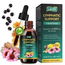 Lymphatic Drainage Supplements Drops, 21 in 1 Organic Lymphatic Support Liquid Drops with Echinacea Burdock Root Burdock Calendula Immune Support Cleanse Lymph System Support Supplement, 2 fl oz