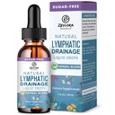 Lymphatic Drainage Support Drops - Advanced 11-in-1 Herbal Extract Formula with Echinacea, Dandelion, Elderberry & Milk Thistle – Multi-Herb Liquid for Fluid Balance & Healthy Circulation - 2 Fl Oz