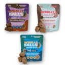 Wholly Balls Protein Bites â€“ Healthy Plant-Based Snack | High Protein, Low Sugar, Gluten-Free Energy Balls (Pack of 3, Chocolate)