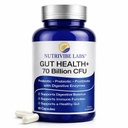 6-in-1 Gut Health 70 Billion CFU Probiotics, Prebiotics, Postbiotics for Women & Men with Enzymes & L-Glutamine - Support Digestive & Immune Health, Occasional Gas & Bloating - 60 Caps