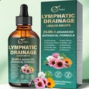 21- in-1 Lymphatic Drainage Drops for Liposomal, Immune & Lymph System Support Supplement for Women & Men with Echinacea, Dandelion, Burdock, Bromelain, Calendula, Turmeric & More(4 FL OZ (Pack of 1))