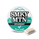 Smokey Mountain Caffeinated Pouches - Spearmint - Tobacco Free and Nicotine Free - 1 Can - 15 Pouches Per Can