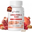 Gynable Urolithin A Supplement with NAD+ | Trans-Resveratrol & PQQ| 4-in-1 Complex Cellular Energy & Muscle Strength,Longevity Supplement for Sleep and Healthy Aging - Made & Tested in USA (1)