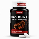 Urolithin A Supplement 1200mg,Veggie Capsules for Men & Women, 120 Count